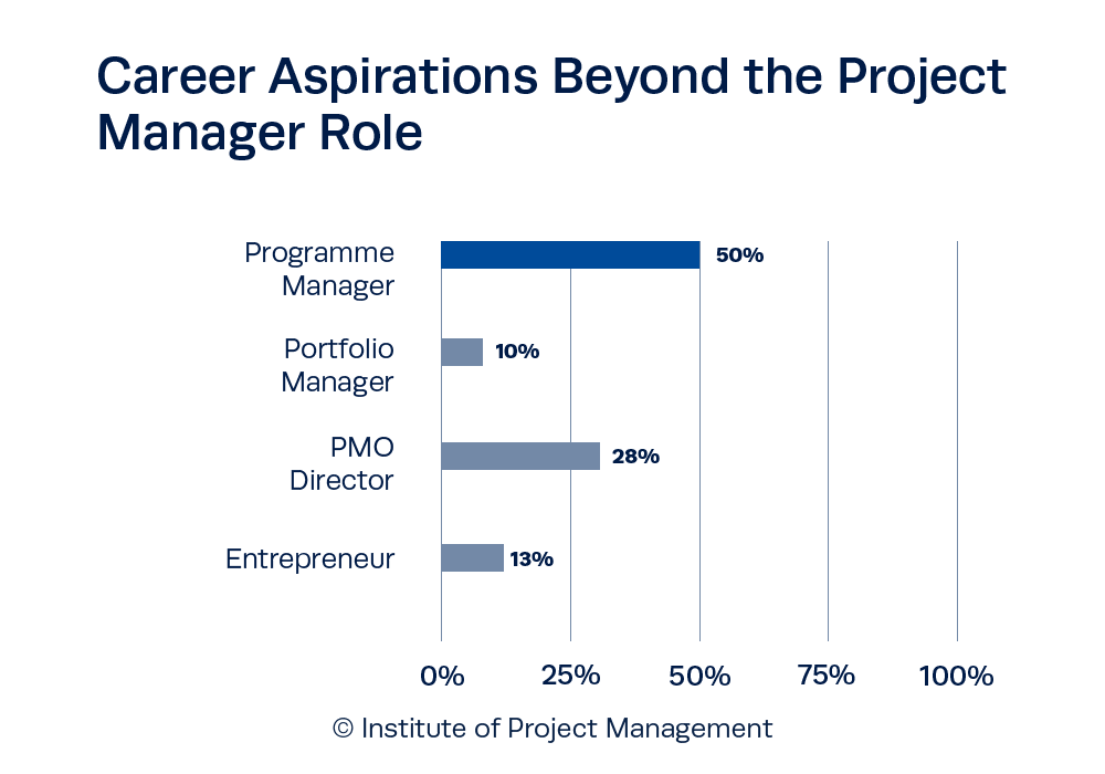 Career Aspirations Beyond the Project Manager Role