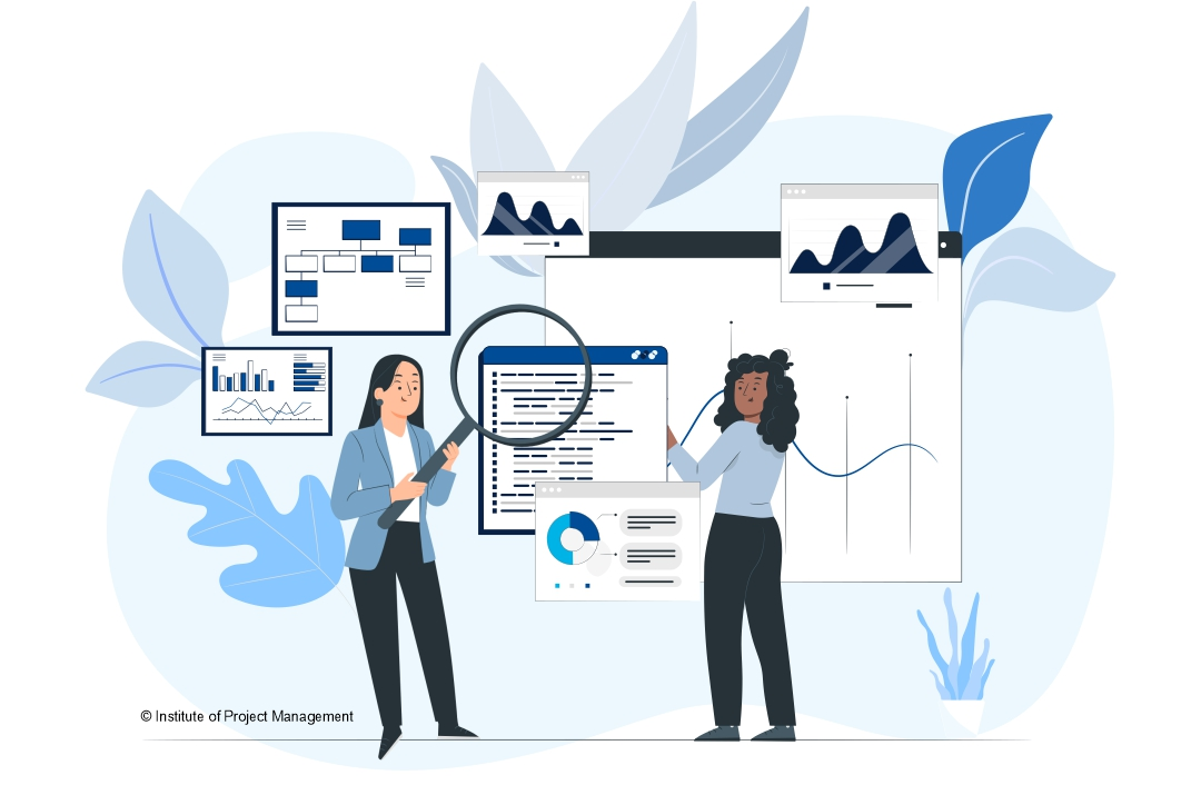 IPM-Project Manager CV